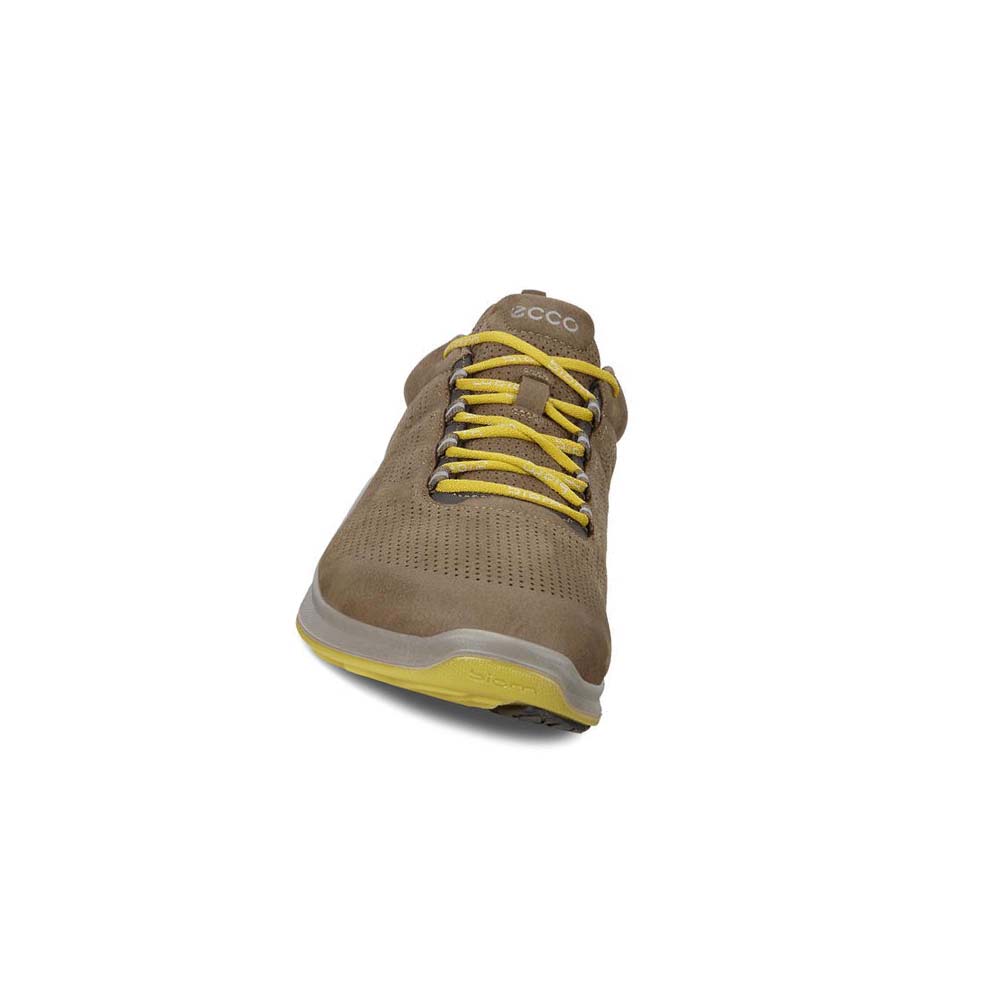 Ecco Mens Biom Fjuel Perf Hiking & Trail Herr Bruna | SE 568JPQ